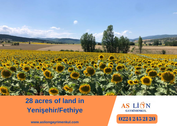 28 acres of land in Yenişehir/Fethiye